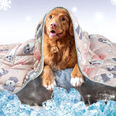 Dog Cooling Mat For Pets - FurRoad