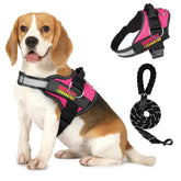 Dog Harness with Name and Phone Number - FurRoad