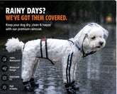 White dog wearing a transparent hooded raincoat on a wet path