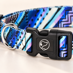 Small Dog Collars