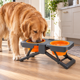 Golden Retriever eating from an orange raised double feeder