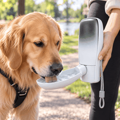 FurRoad Portable Dog Water Bowl