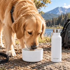 FurRoad Portable Dog Water Bottle