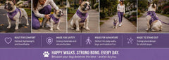 FurRoad No Pull Dog Harness