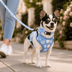 FurRoad Dog Harness and Leash Set