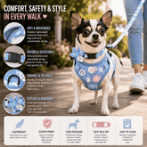 FurRoad Dog Harness and Leash Set