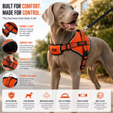 Grey dog modelling an orange harness with black straps