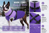 Small dog wearing a purple fleece coat with harness straps