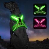 FurRoad LED Dog Harness for Safety