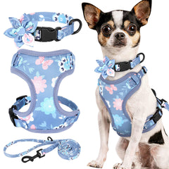 FurRoad Dog Harness and Leash Set