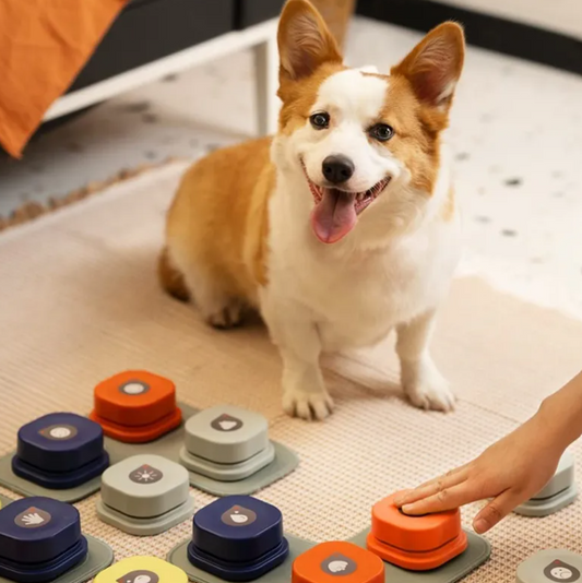 Pet Toys