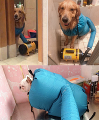 Pet Drying Box, Dryer, and Drying Bag - FurRoad