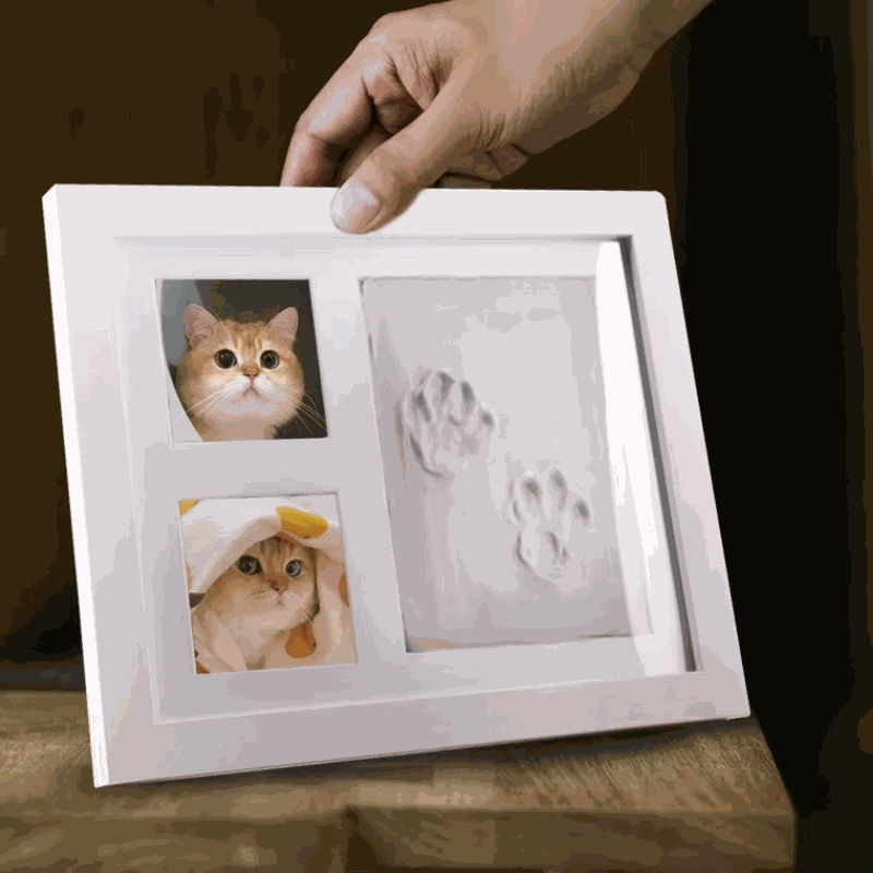FurRoad Pet Pawprint Frame DIY