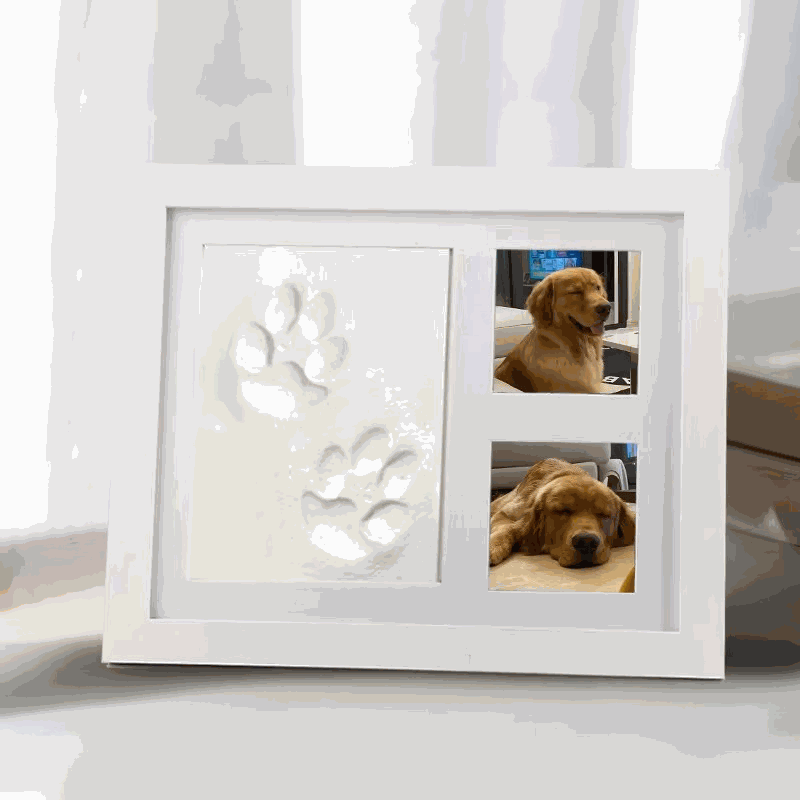 FurRoad Pet Pawprint Frame DIY