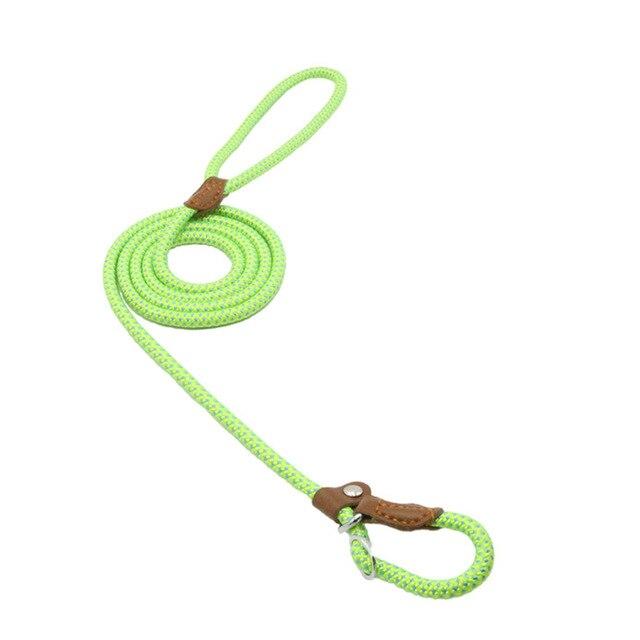 Lime green rope dog lead coiled with loop handle and collar attachment