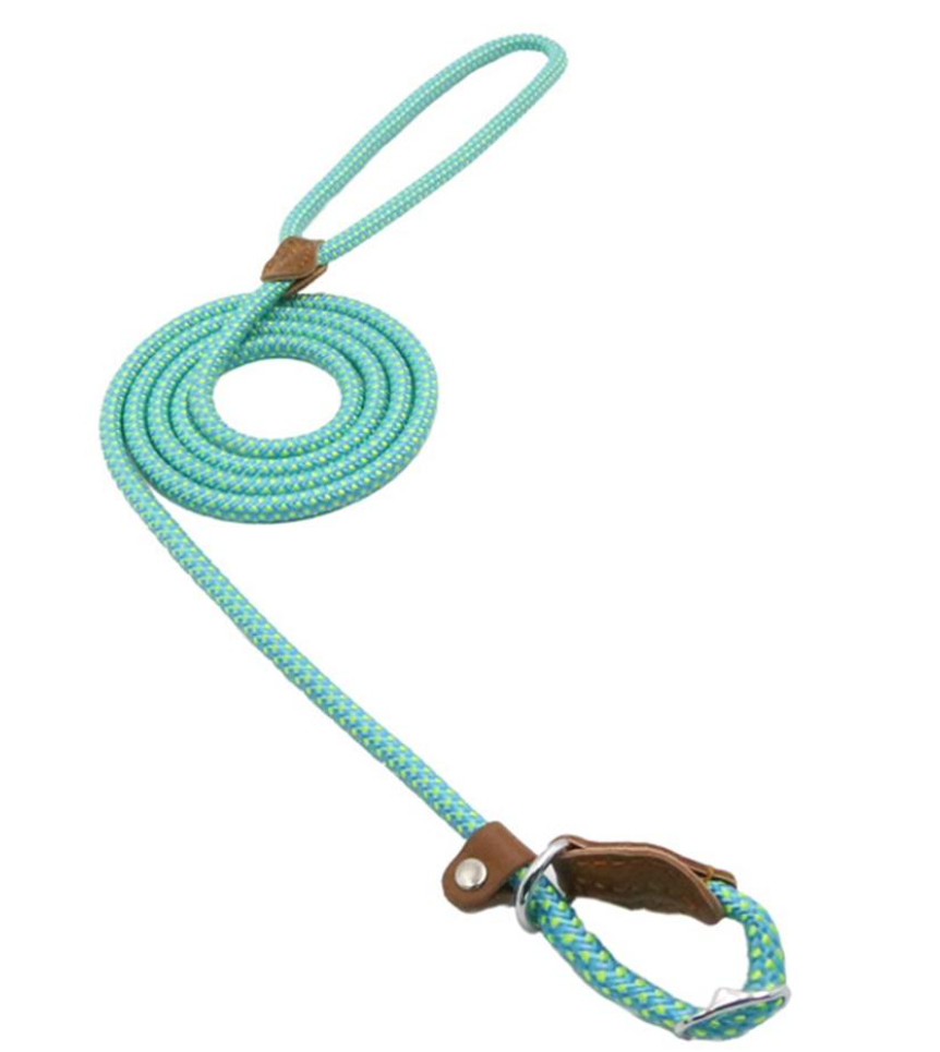 Mint rope dog lead coiled with loop handle and collar attachment