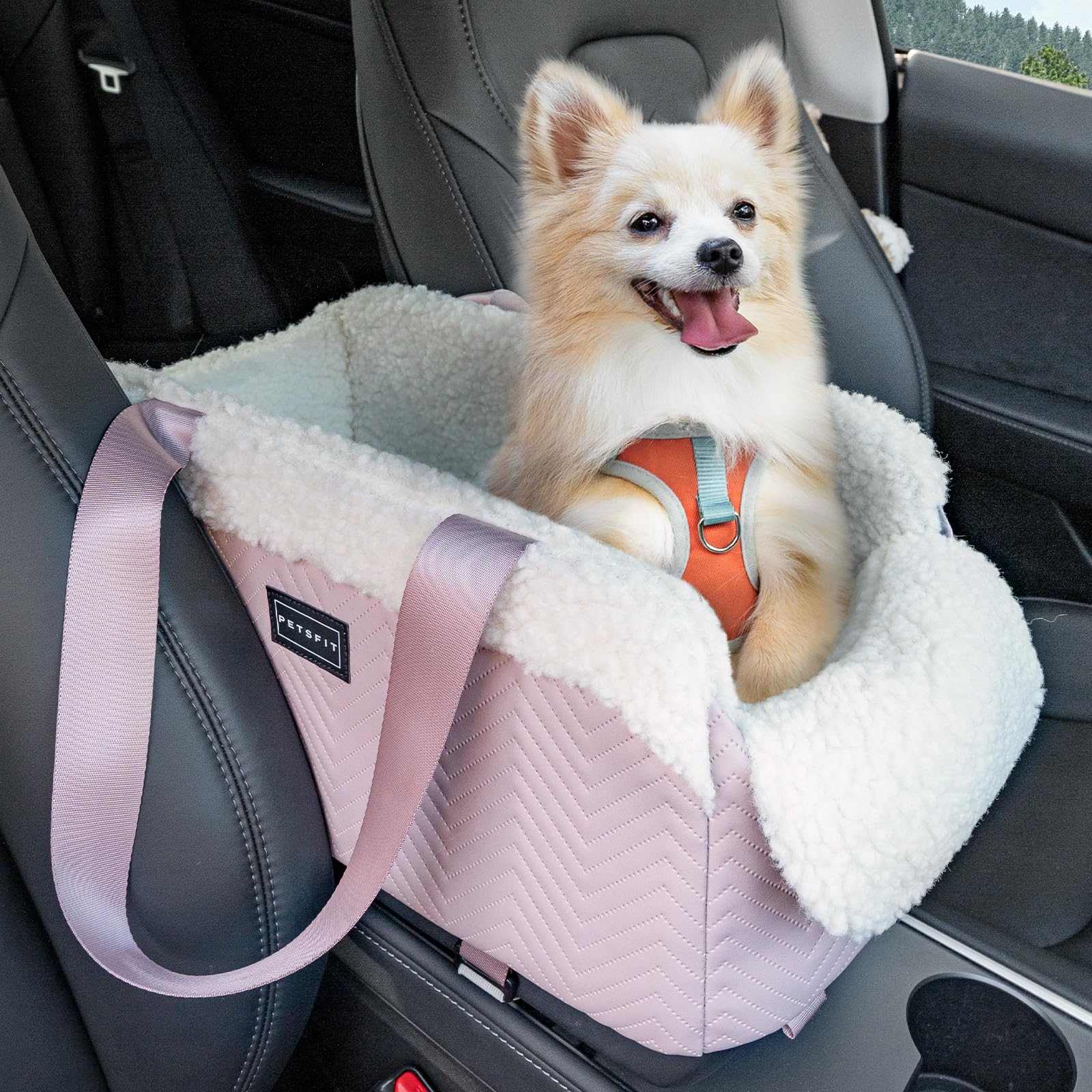 FurRoad Portable Pet Car Seat