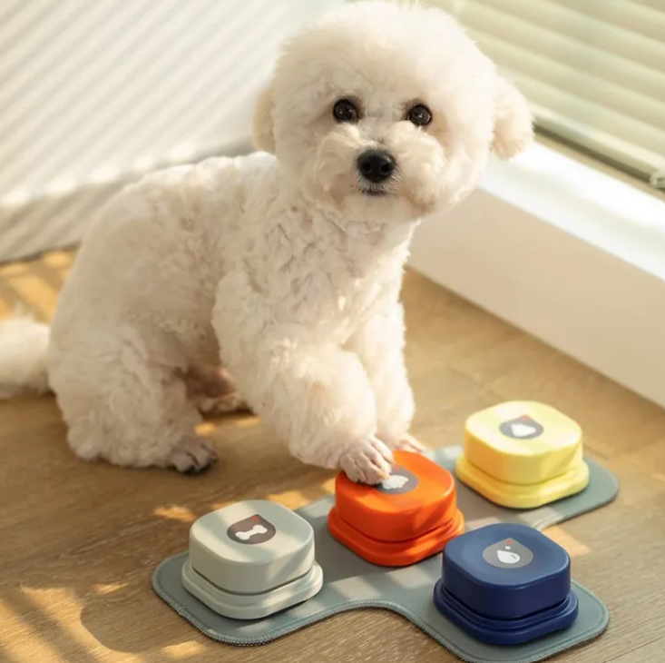 Pet Toys