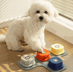 FurRoad Pet Communication Button