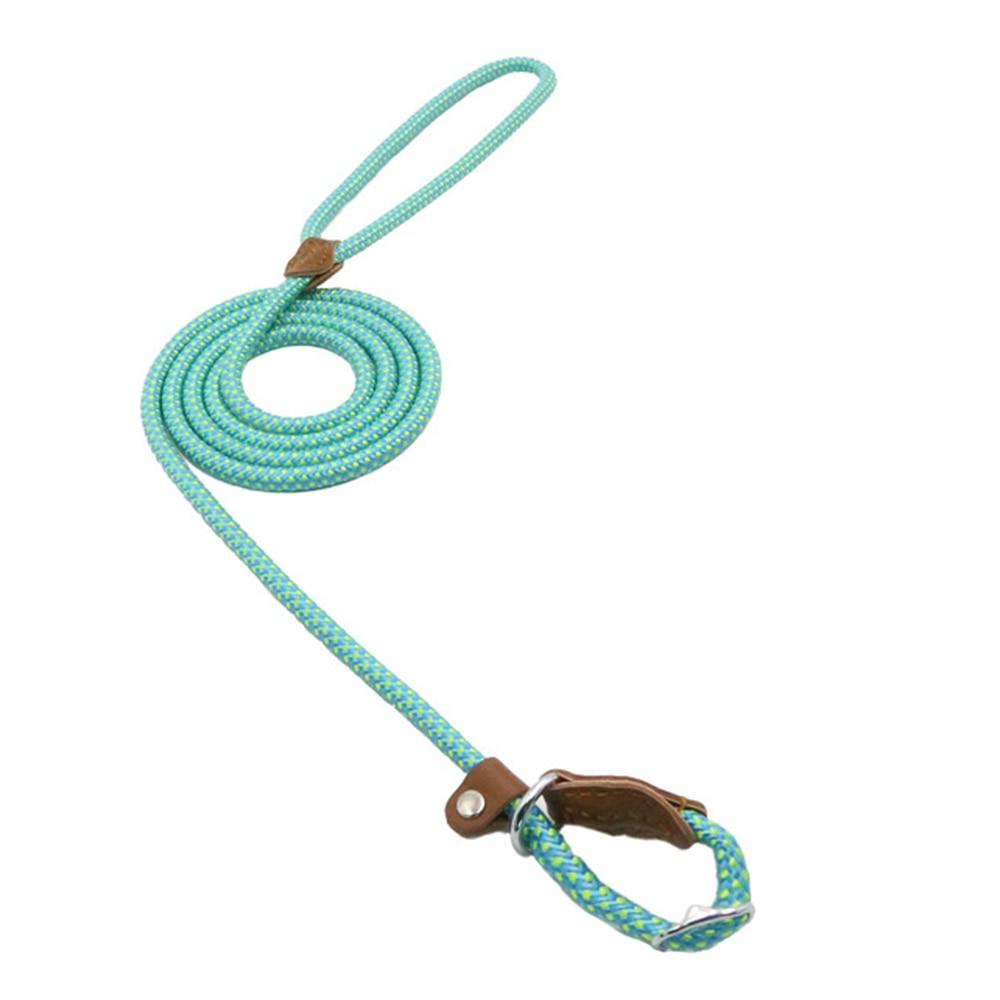 Mint rope dog lead coiled with loop handle and collar attachment