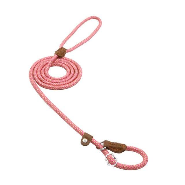 Pink rope dog lead coiled with loop handle and collar attachment