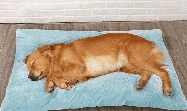 FurRoad Cozy Pet Bed for Comfort