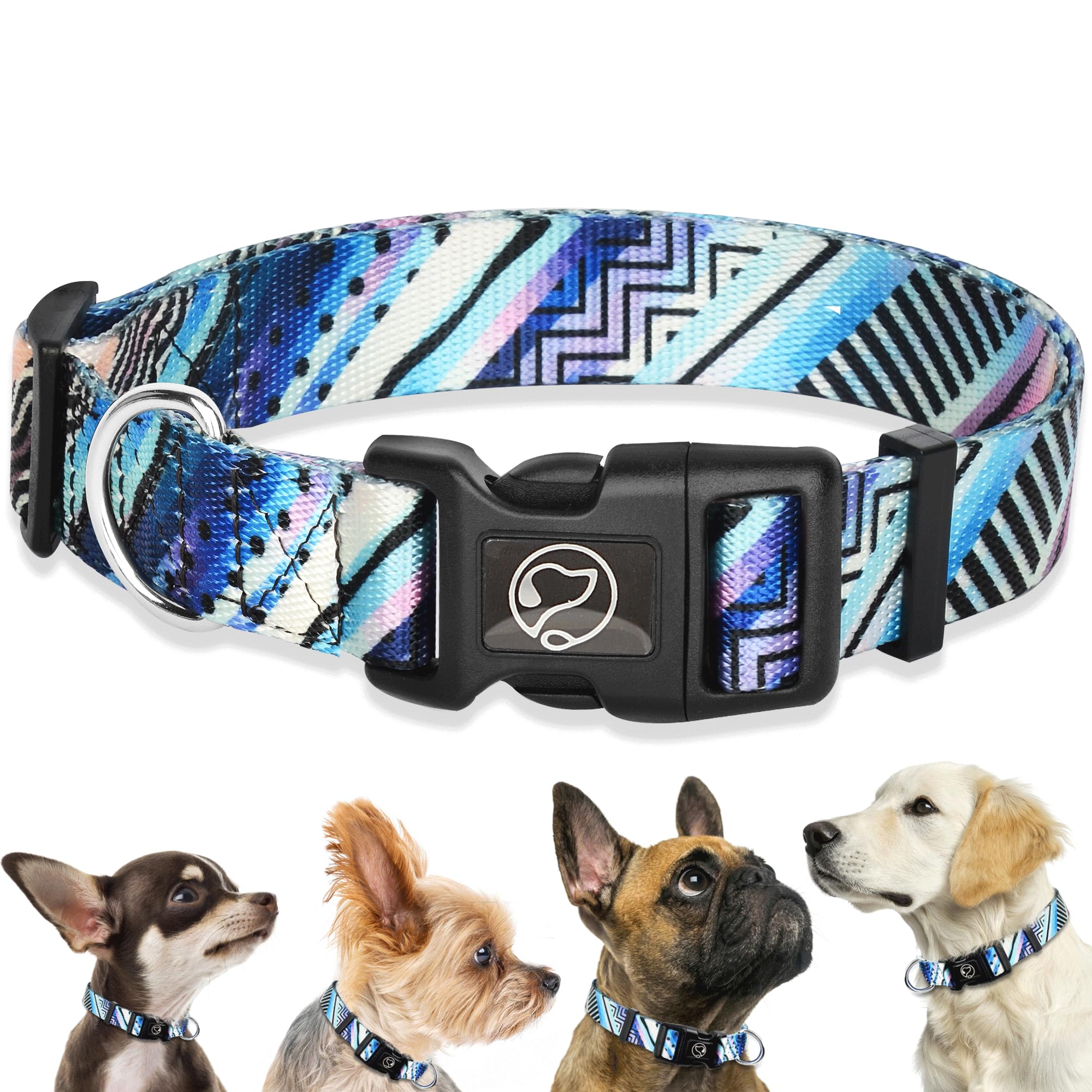 Small Dog Collars