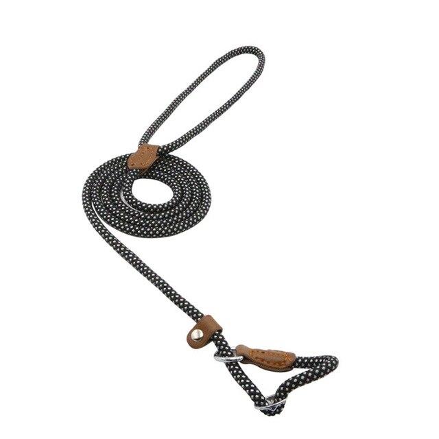 Black rope dog lead coiled with loop handle and collar attachment
