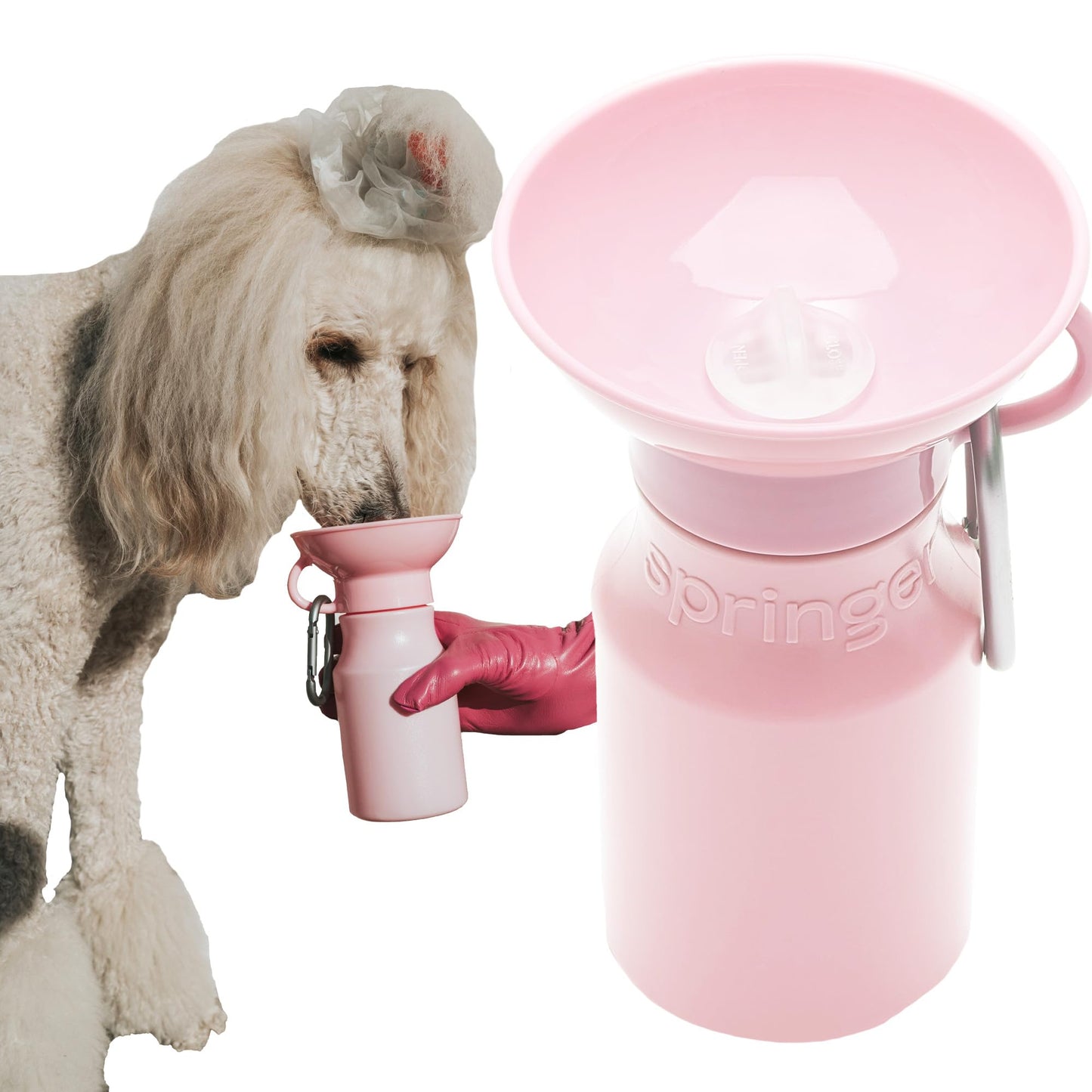 Springer Dog Water Bottle | Portable Travel Water Bottle Dispenser for Dogs | Dog Gift Seen on Oprahs Favorite Things Shark Tank | Leak-Proof Bottles Fill Bowl with Water