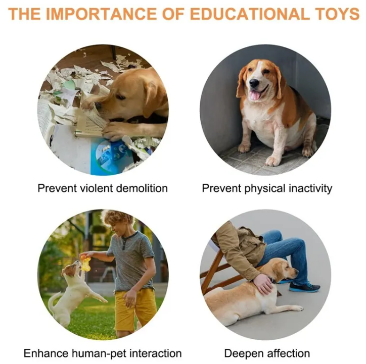 Pet Toys