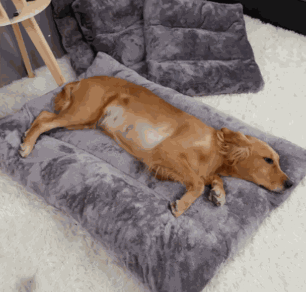FurRoad Cozy Pet Bed for Comfort