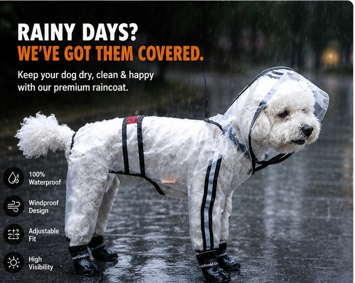 White dog wearing a transparent hooded raincoat on a wet path