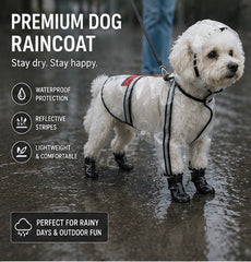 White dog modelling a transparent raincoat with black trim