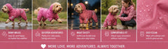 Pink dog raincoat shown during walks and in close-up