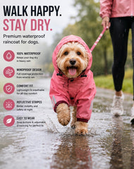 Dog walking in a pink hooded raincoat beside its owner