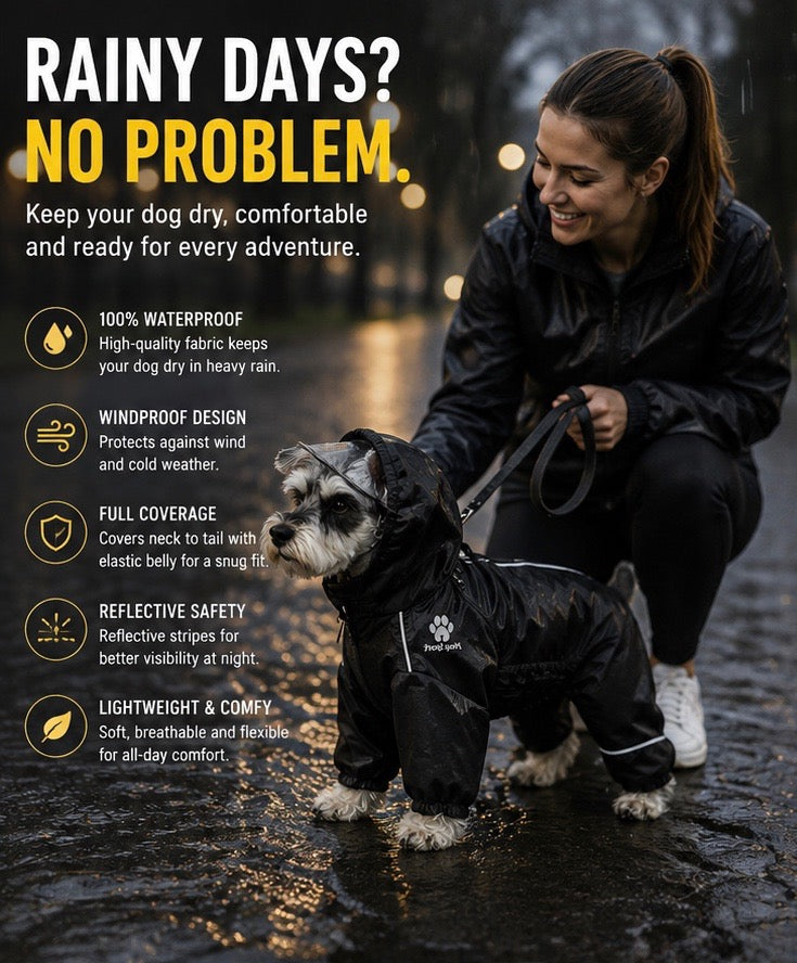 Owner and dark-coated dog wearing a black raincoat outdoors