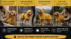 Yellow dog raincoat shown on walks and during fitting