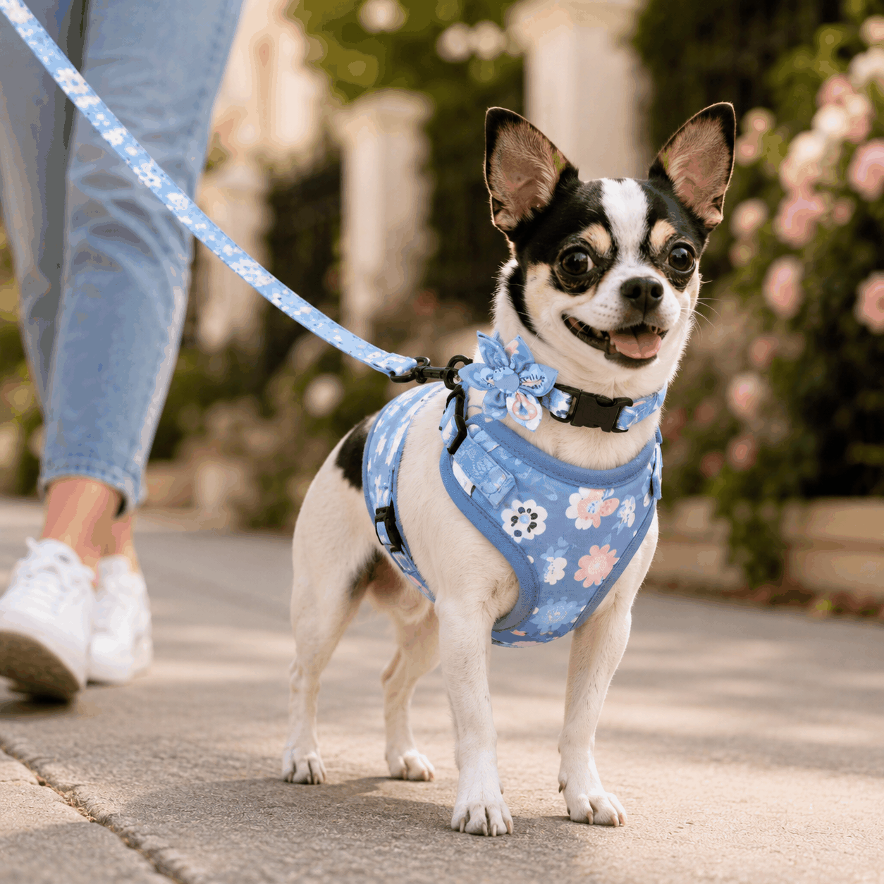 FurRoad Dog Harness and Leash Set