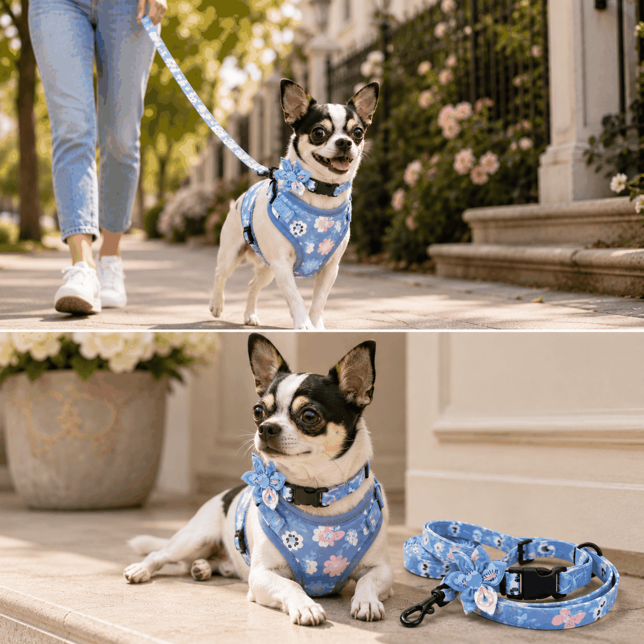 FurRoad Dog Harness and Leash Set
