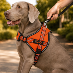 FurRoad No Pull Adjustable Dog Harness