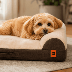 FurRoad Washable Dog Bed