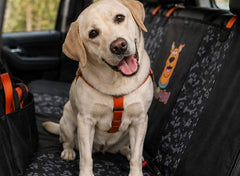 FurRoad Dog Car Seat Cover Waterproof
