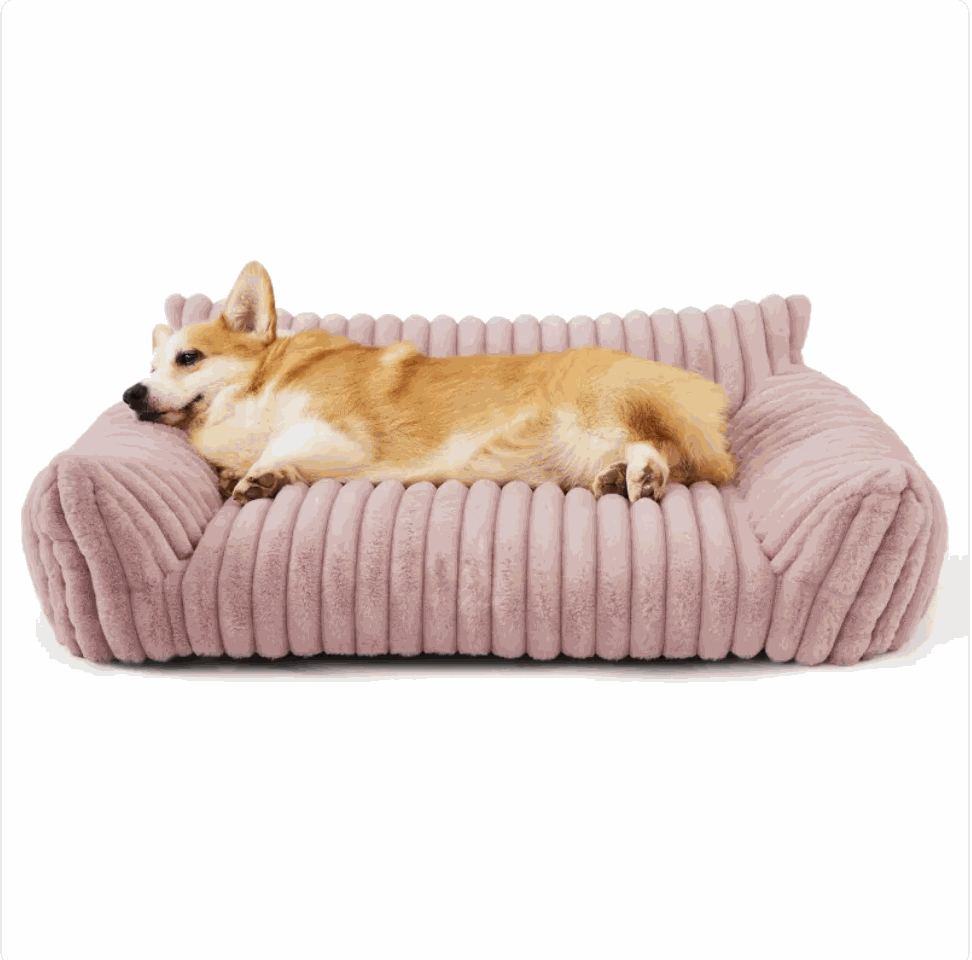 FurRoad Bedsure Cute Cat Sofa