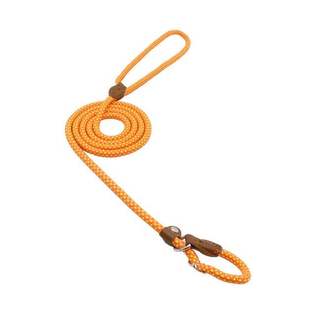 Orange rope dog lead coiled with loop handle and collar attachment