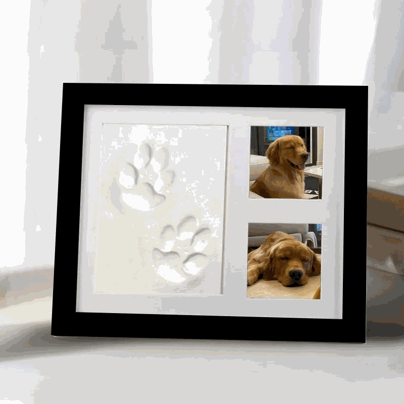 FurRoad Pet Pawprint Frame DIY