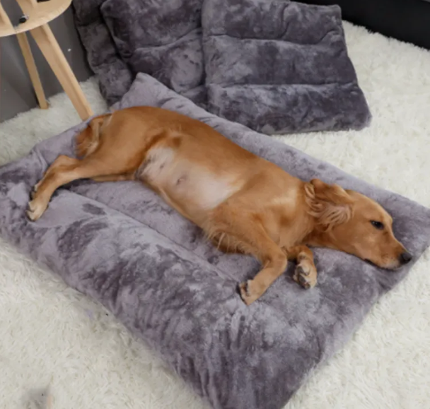 Pet Bed & Short Plush