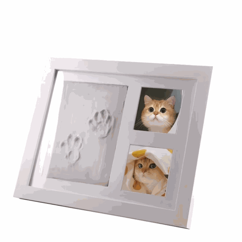 FurRoad Pet Pawprint Frame DIY