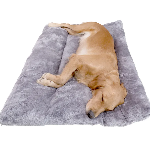 Pet Bed & Short Plush