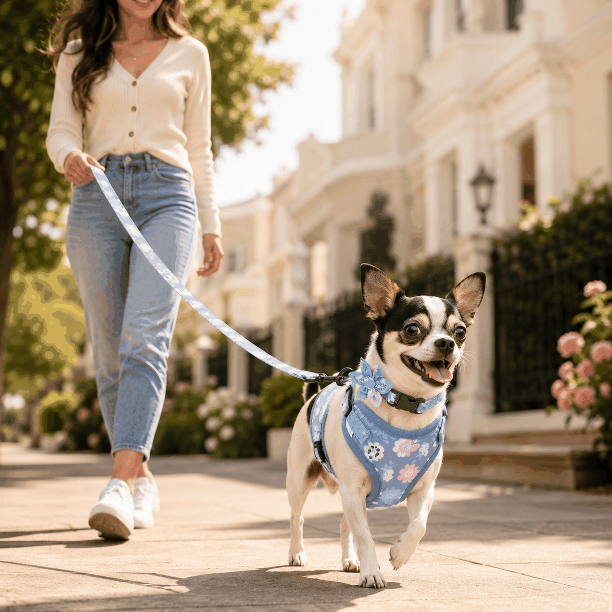 FurRoad Dog Harness and Leash Set