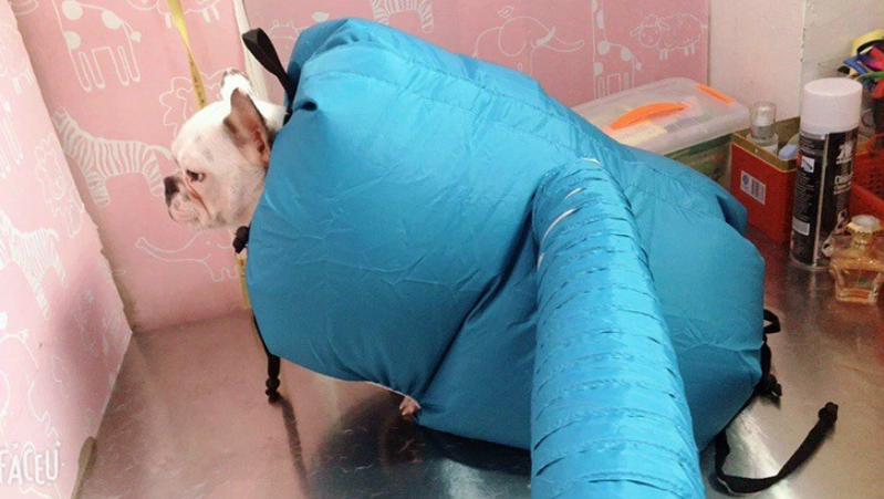 Pet Drying Box, Dryer, and Drying Bag - FurRoad